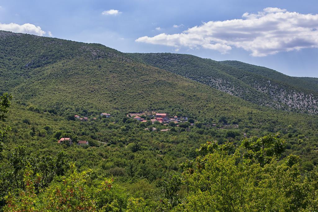 Holiday Villa Anna Primorski Dolac Bagian luar foto